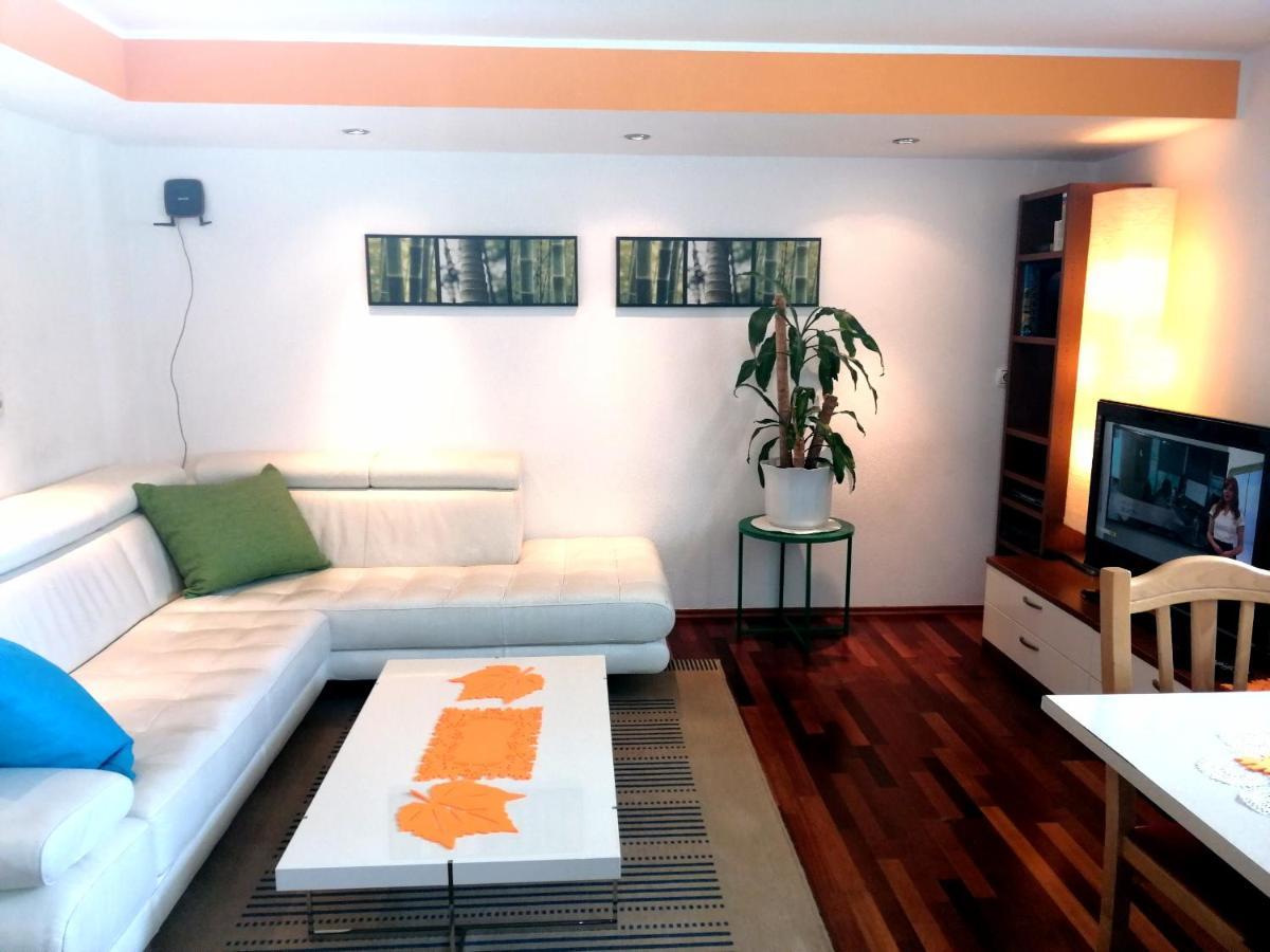 Mateja House - Apartments In Zirovnica Rodine Luaran gambar