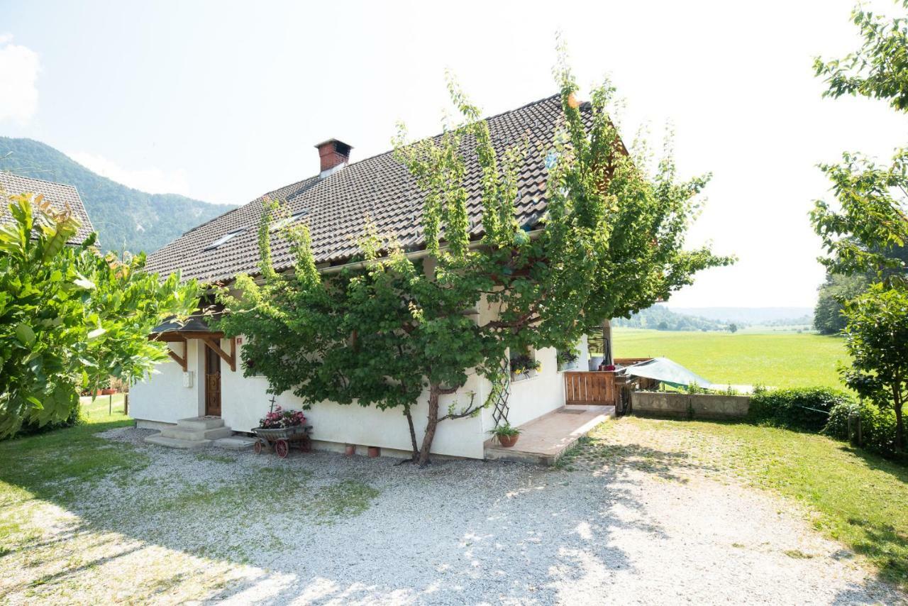 Mateja House - Apartments In Zirovnica Rodine Luaran gambar