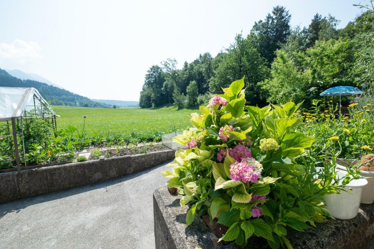 Mateja House - Apartments In Zirovnica Rodine Luaran gambar